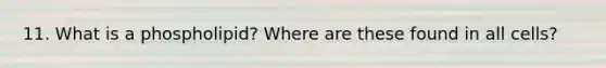 11. What is a phospholipid? Where are these found in all cells?