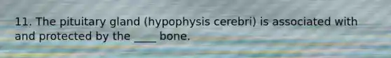 11. The pituitary gland (hypophysis cerebri) is associated with and protected by the ____ bone.