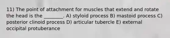 11) The point of attachment for muscles that extend and rotate the head is the ________. A) styloid process B) mastoid process C) posterior clinoid process D) articular tubercle E) external occipital protuberance