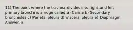 11) The point where the trachea divides into right and left primary bronchi is a ridge called a) Carina b) Secondary bronchioles c) Parietal pleura d) Visceral pleura e) Diaphragm Answer: a