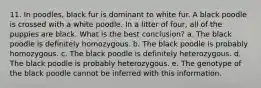 11. In poodles, black fur is dominant to white fur. A black poodle is crossed with a white poodle. In a litter of four, all of the puppies are black. What is the best conclusion? a. The black poodle is definitely homozygous. b. The black poodle is probably homozygous. c. The black poodle is definitely heterozygous. d. The black poodle is probably heterozygous. e. The genotype of the black poodle cannot be inferred with this information.