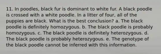 11. In poodles, black fur is dominant to white fur. A black poodle is crossed with a white poodle. In a litter of four, all of the puppies are black. What is the best conclusion? a. The black poodle is definitely homozygous. b. The black poodle is probably homozygous. c. The black poodle is definitely heterozygous. d. The black poodle is probably heterozygous. e. The genotype of the black poodle cannot be inferred with this information.