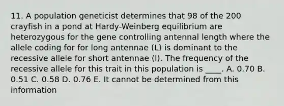 11. A population geneticist determines that 98 of the 200 crayfish in a pond at Hardy-Weinberg equilibrium are heterozygous for the <a href='https://www.questionai.com/knowledge/kwVcWmCQNM-gene-control' class='anchor-knowledge'>gene control</a>ling antennal length where the allele coding for for long antennae (L) is dominant to the recessive allele for short antennae (l). The frequency of the recessive allele for this trait in this population is ____. A. 0.70 B. 0.51 C. 0.58 D. 0.76 E. It cannot be determined from this information