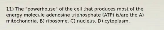 11) The "powerhouse" of the cell that produces most of the energy molecule adenosine triphosphate (ATP) is/are the A) mitochondria. B) ribosome. C) nucleus. D) cytoplasm.