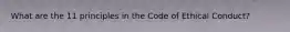 What are the 11 principles in the Code of Ethical Conduct?