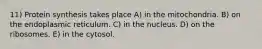 11) Protein synthesis takes place A) in the mitochondria. B) on the endoplasmic reticulum. C) in the nucleus. D) on the ribosomes. E) in the cytosol.