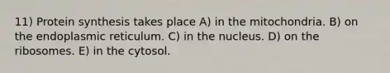 11) Protein synthesis takes place A) in the mitochondria. B) on the endoplasmic reticulum. C) in the nucleus. D) on the ribosomes. E) in the cytosol.