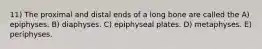 11) The proximal and distal ends of a long bone are called the A) epiphyses. B) diaphyses. C) epiphyseal plates. D) metaphyses. E) periphyses.