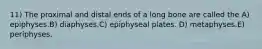 11) The proximal and distal ends of a long bone are called the A) epiphyses.B) diaphyses.C) epiphyseal plates. D) metaphyses.E) periphyses.