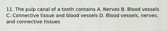 11. The pulp canal of a tooth contains A. Nerves B. Blood vessels C. Connective tissue and blood vessels D. Blood vessels, nerves, and connective tissues