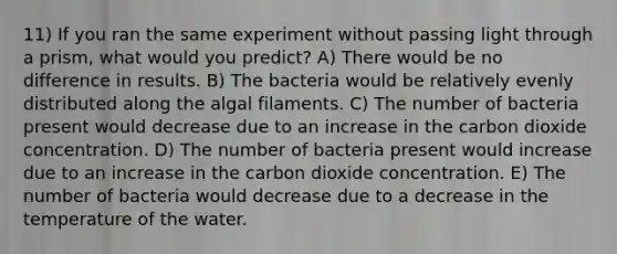 11) If you ran the same experiment without passing light through a prism, what would you predict? A) There would be no difference in results. B) The bacteria would be relatively evenly distributed along the algal filaments. C) The number of bacteria present would decrease due to an increase in the carbon dioxide concentration. D) The number of bacteria present would increase due to an increase in the carbon dioxide concentration. E) The number of bacteria would decrease due to a decrease in the temperature of the water.