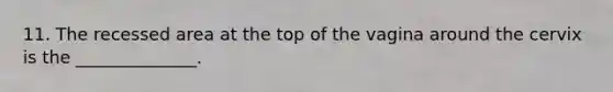 11. The recessed area at the top of the vagina around the cervix is the ______________.