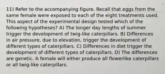 11) Refer to the accompanying figure. Recall that eggs from the same female were exposed to each of the eight treatments used. This aspect of the experimental design tested which of the following hypotheses? A) The longer day lengths of summer trigger the development of twig-like caterpillars. B) Differences in air pressure, due to elevation, trigger the development of different types of caterpillars. C) Differences in diet trigger the development of different types of caterpillars. D) The differences are genetic. A female will either produce all flowerlike caterpillars or all twig-like caterpillars.