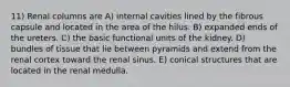 11) Renal columns are A) internal cavities lined by the fibrous capsule and located in the area of the hilus. B) expanded ends of the ureters. C) the basic functional units of the kidney. D) bundles of tissue that lie between pyramids and extend from the renal cortex toward the renal sinus. E) conical structures that are located in the renal medulla.