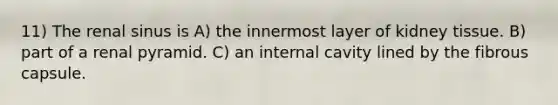 11) The renal sinus is A) the innermost layer of kidney tissue. B) part of a renal pyramid. C) an internal cavity lined by the fibrous capsule.