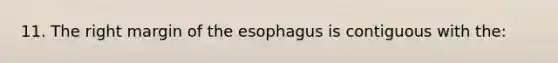 11. The right margin of the esophagus is contiguous with the: