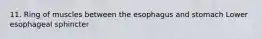 11. Ring of muscles between the esophagus and stomach Lower esophageal sphincter