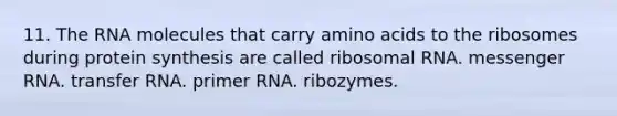 11. The RNA molecules that carry amino acids to the ribosomes during protein synthesis are called ribosomal RNA. messenger RNA. transfer RNA. primer RNA. ribozymes.