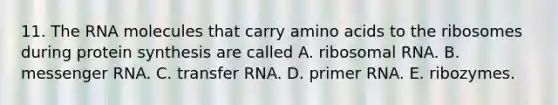 11. The RNA molecules that carry amino acids to the ribosomes during protein synthesis are called A. ribosomal RNA. B. messenger RNA. C. transfer RNA. D. primer RNA. E. ribozymes.