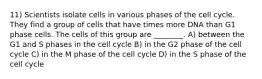 11) Scientists isolate cells in various phases of the cell cycle. They find a group of cells that have times more DNA than G1 phase cells. The cells of this group are ________. A) between the G1 and S phases in the cell cycle B) in the G2 phase of the cell cycle C) in the M phase of the cell cycle D) in the S phase of the cell cycle