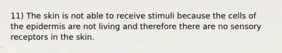 11) The skin is not able to receive stimuli because the cells of the epidermis are not living and therefore there are no sensory receptors in the skin.