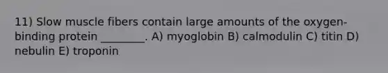 11) Slow muscle fibers contain large amounts of the oxygen-binding protein ________. A) myoglobin B) calmodulin C) titin D) nebulin E) troponin