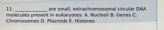 11. ______________ are small, extrachromosomal circular DNA molecules present in eukaryotes: A. Nucleoli B. Genes C. Chromosomes D. Plasmids E. Histones