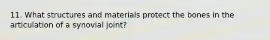 11. What structures and materials protect the bones in the articulation of a synovial joint?