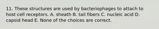 11. These structures are used by bacteriophages to attach to host cell receptors. A. sheath B. tail fibers C. nucleic acid D. capsid head E. None of the choices are correct.