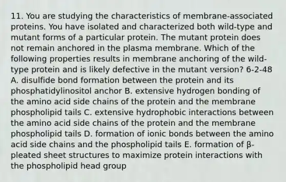 11. You are studying the characteristics of membrane-associated proteins. You have isolated and characterized both wild-type and mutant forms of a particular protein. The mutant protein does not remain anchored in the plasma membrane. Which of the following properties results in membrane anchoring of the wild-type protein and is likely defective in the mutant version? 6-2-48 A. disulfide bond formation between the protein and its phosphatidylinositol anchor B. extensive hydrogen bonding of the amino acid side chains of the protein and the membrane phospholipid tails C. extensive hydrophobic interactions between the amino acid side chains of the protein and the membrane phospholipid tails D. formation of ionic bonds between the amino acid side chains and the phospholipid tails E. formation of β-pleated sheet structures to maximize protein interactions with the phospholipid head group