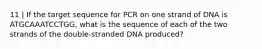 11 | If the target sequence for PCR on one strand of DNA is ATGCAAATCCTGG, what is the sequence of each of the two strands of the double-stranded DNA produced?