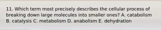 11. Which term most precisely describes the cellular process of breaking down large molecules into smaller ones? A. catabolism B. catalysis C. metabolism D. anabolism E. dehydration