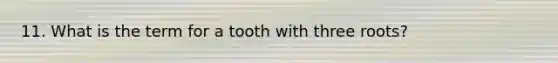 11. What is the term for a tooth with three roots?