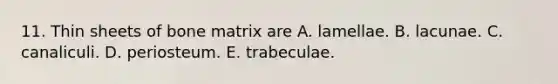 11. Thin sheets of bone matrix are A. lamellae. B. lacunae. C. canaliculi. D. periosteum. E. trabeculae.