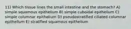 11) Which tissue lines the small intestine and the stomach? A) simple squamous epithelium B) simple cuboidal epithelium C) simple columnar epithelium D) pseudostratified ciliated columnar epithelium E) stratified squamous epithelium