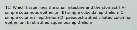 11) Which tissue lines the small intestine and the stomach? A) simple squamous epithelium B) simple cuboidal epithelium C) simple columnar epithelium D) pseudostratified ciliated columnar epithelium E) stratified squamous epithelium