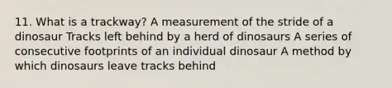 11. What is a trackway? A measurement of the stride of a dinosaur Tracks left behind by a herd of dinosaurs A series of consecutive footprints of an individual dinosaur A method by which dinosaurs leave tracks behind