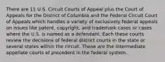 There are 11 U.S. Circuit Courts of Appeal plus the Court of Appeals for the District of Columbia and the Federal Circuit Court of Appeals which handles a variety of exclusively federal appeals on issues like patent, copyright, and trademark cases or cases where the U.S. is named as a defendant. Each these courts review the decisions of federal district courts in the state or several states within the circuit. These are the intermediate appellate courts of precedent in the federal system.