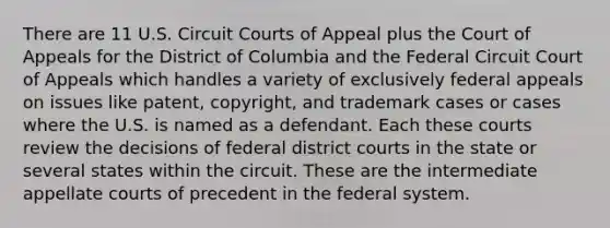 There are 11 U.S. Circuit Courts of Appeal plus the Court of Appeals for the District of Columbia and the Federal Circuit Court of Appeals which handles a variety of exclusively federal appeals on issues like patent, copyright, and trademark cases or cases where the U.S. is named as a defendant. Each these courts review the decisions of federal district courts in the state or several states within the circuit. These are the intermediate appellate courts of precedent in the federal system.