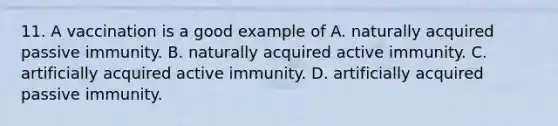 11. A vaccination is a good example of A. naturally acquired passive immunity. B. naturally acquired active immunity. C. artificially acquired active immunity. D. artificially acquired passive immunity.