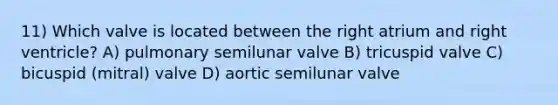 11) Which valve is located between the right atrium and right ventricle? A) pulmonary semilunar valve B) tricuspid valve C) bicuspid (mitral) valve D) aortic semilunar valve