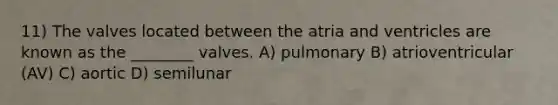 11) The valves located between the atria and ventricles are known as the ________ valves. A) pulmonary B) atrioventricular (AV) C) aortic D) semilunar