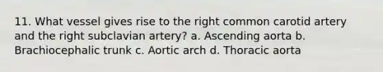 11. What vessel gives rise to the right common carotid artery and the right subclavian artery? a. Ascending aorta b. Brachiocephalic trunk c. Aortic arch d. Thoracic aorta