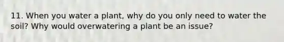 11. When you water a plant, why do you only need to water the soil? Why would overwatering a plant be an issue?