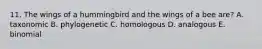 11. The wings of a hummingbird and the wings of a bee are? A. taxonomic B. phylogenetic C. homologous D. analogous E. binomial