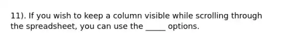 11). If you wish to keep a column visible while scrolling through the spreadsheet, you can use the _____ options.