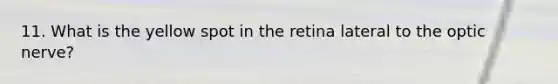 11. What is the yellow spot in the retina lateral to the optic nerve?