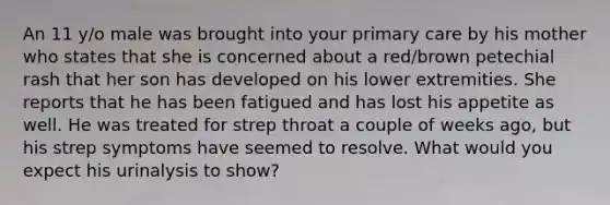 An 11 y/o male was brought into your primary care by his mother who states that she is concerned about a red/brown petechial rash that her son has developed on his lower extremities. She reports that he has been fatigued and has lost his appetite as well. He was treated for strep throat a couple of weeks ago, but his strep symptoms have seemed to resolve. What would you expect his urinalysis to show?