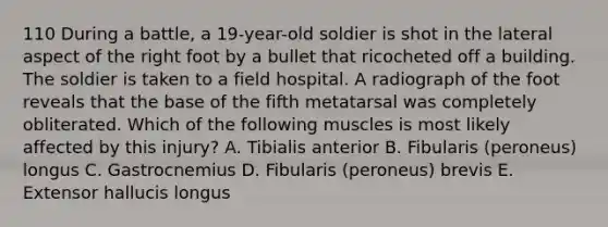 110 During a battle, a 19-year-old soldier is shot in the lateral aspect of the right foot by a bullet that ricocheted off a building. The soldier is taken to a field hospital. A radiograph of the foot reveals that the base of the fifth metatarsal was completely obliterated. Which of the following muscles is most likely affected by this injury? A. Tibialis anterior B. Fibularis (peroneus) longus C. Gastrocnemius D. Fibularis (peroneus) brevis E. Extensor hallucis longus