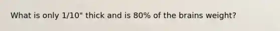 What is only 1/10" thick and is 80% of the brains weight?